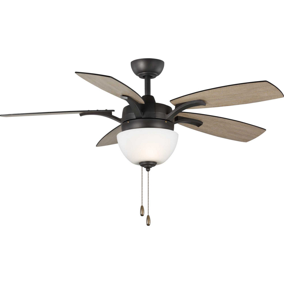 Progress Olson P2598-143 Ceiling Fan - Graphite, Graphite, Walnut/