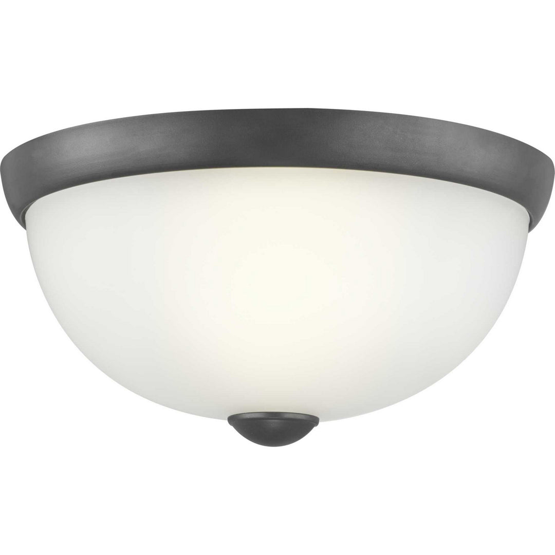 Progress Glass Domes P350043-143 Ceiling Light - Graphite
