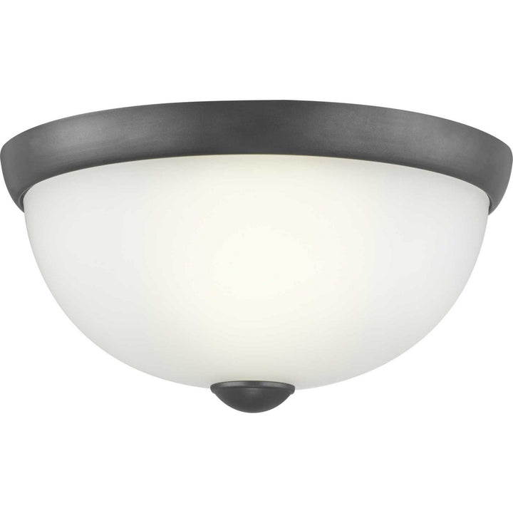 Progress Glass Domes P350043-143 Ceiling Light - Graphite