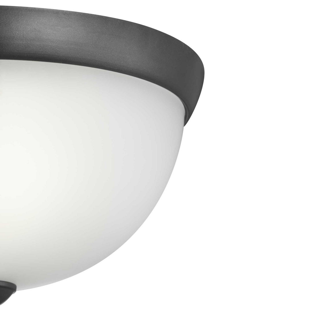 Progress Glass Domes P350043-143 Ceiling Light - Graphite