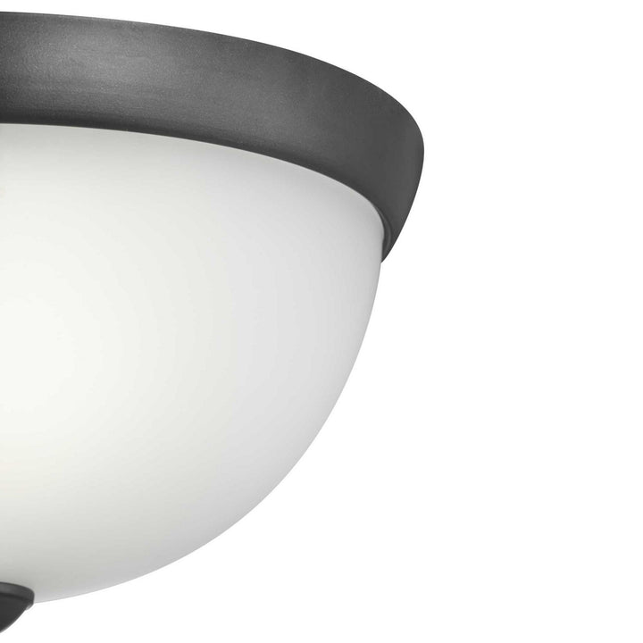 Progress Glass Domes P350043-143 Ceiling Light - Graphite
