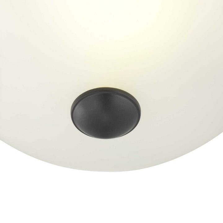 Progress Glass Domes P350043-143 Ceiling Light - Graphite