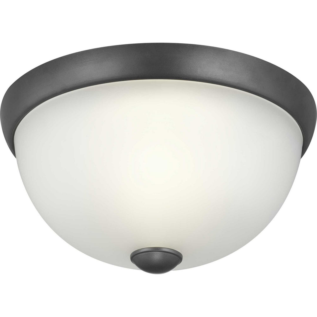 Progress Glass Domes P350043-143 Ceiling Light - Graphite