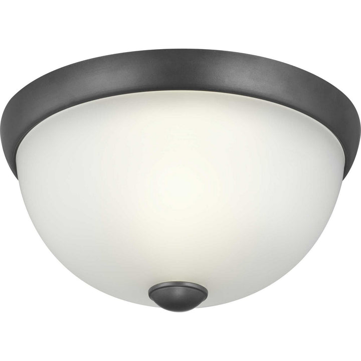 Progress Glass Domes P350043-143 Ceiling Light - Graphite