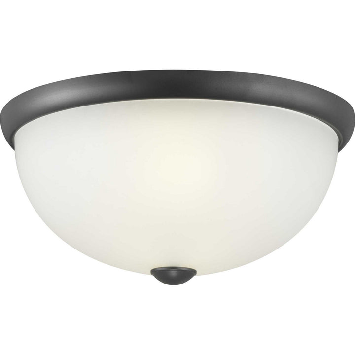 Progress Glass Domes P350044-143 Ceiling Light - Graphite