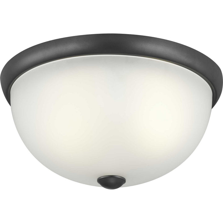 Progress Glass Domes P350044-143 Ceiling Light - Graphite