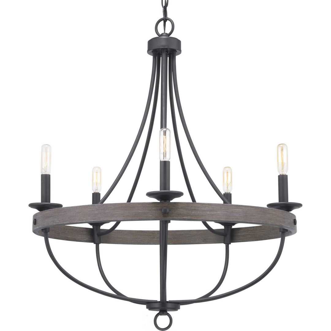Progress Gulliver P400158-143 Chandelier Light - Graphite