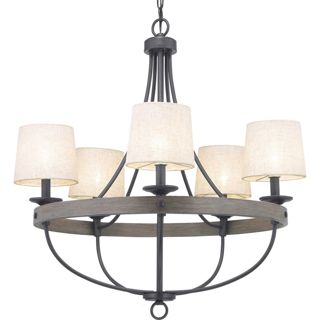 Progress Gulliver P400158-143 Chandelier Light - Graphite