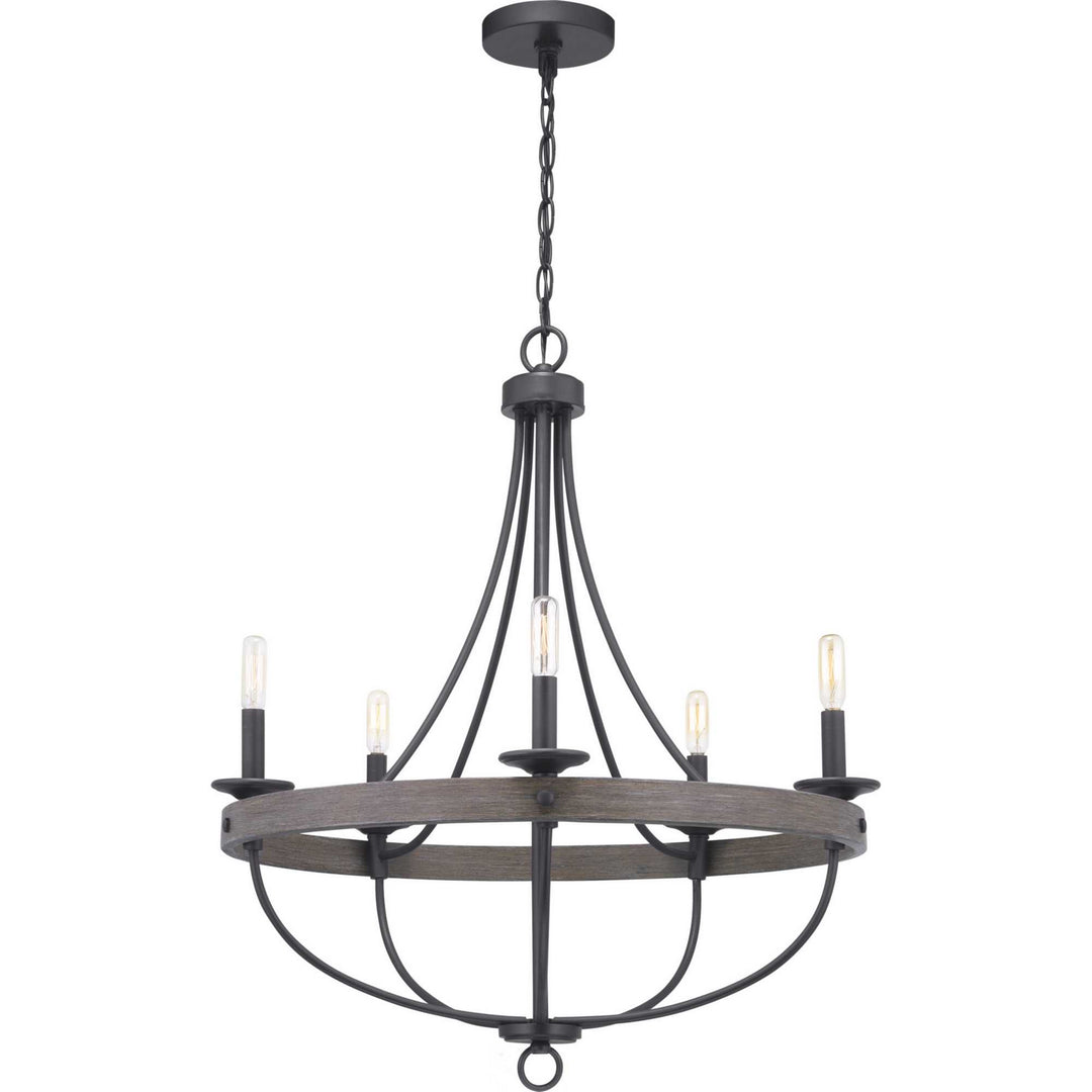 Progress Gulliver P400158-143 Chandelier Light - Graphite
