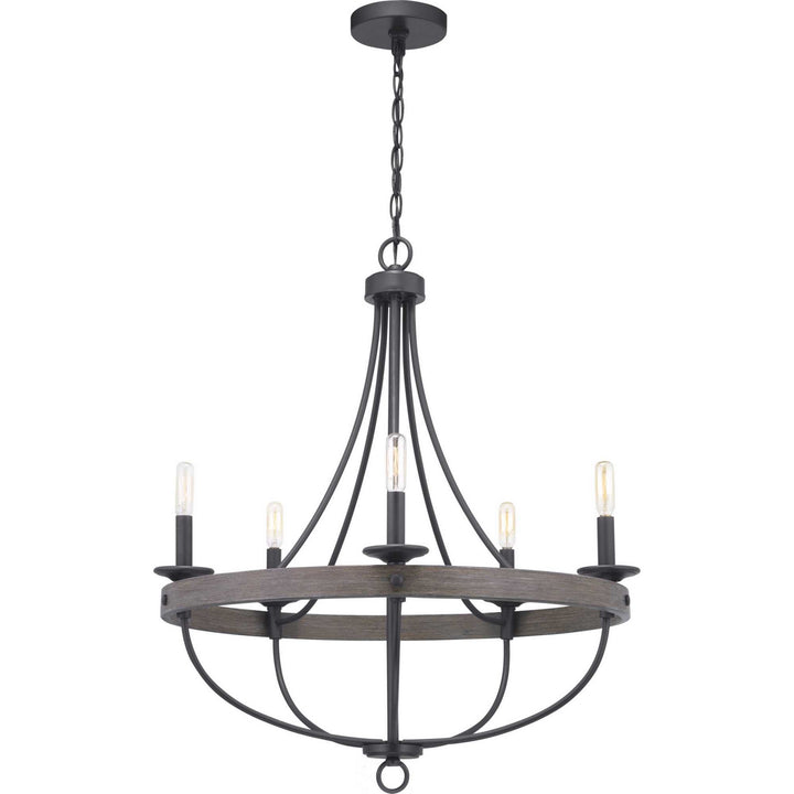 Progress Gulliver P400158-143 Chandelier Light - Graphite