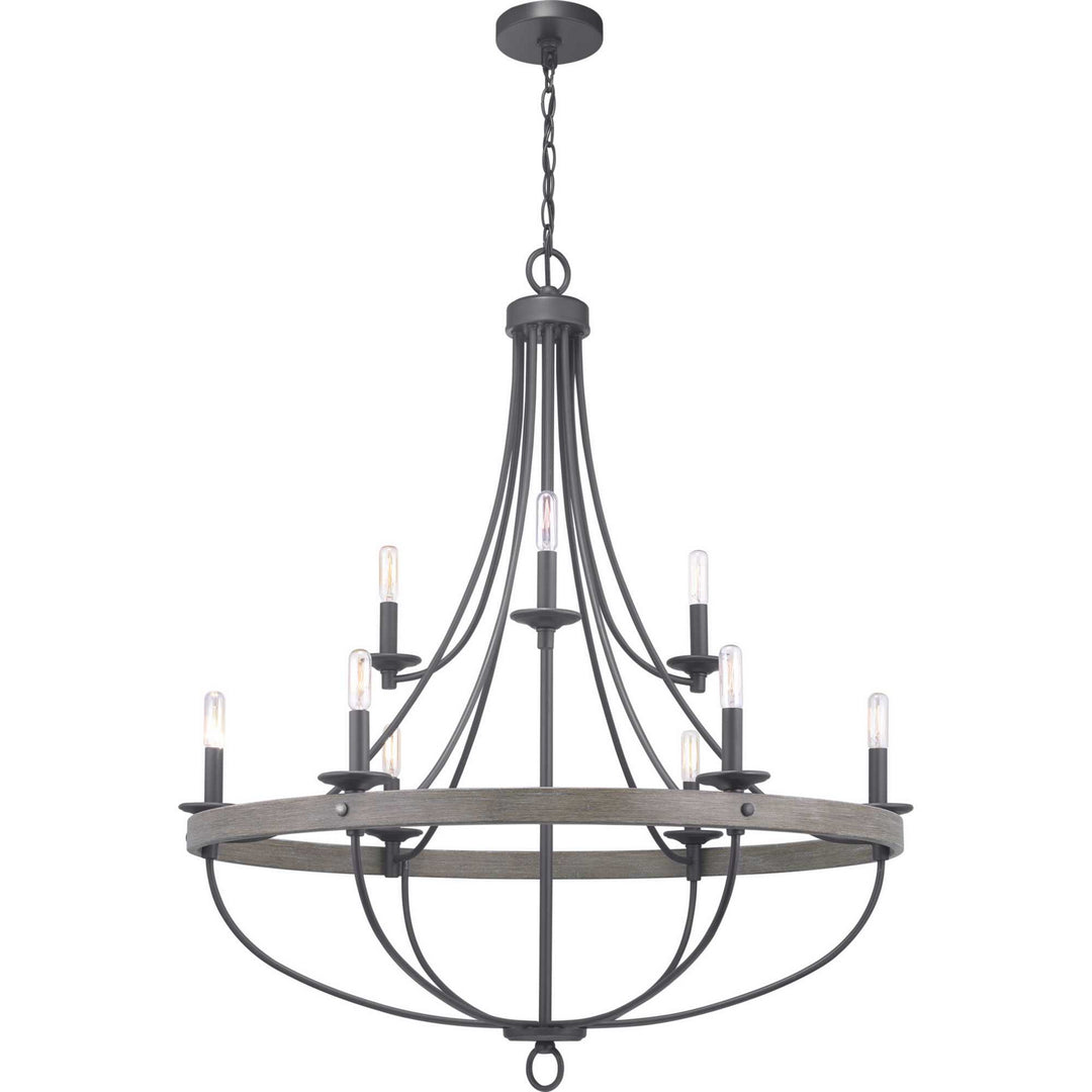 Progress Gulliver P400159-143 Chandelier Light - Graphite