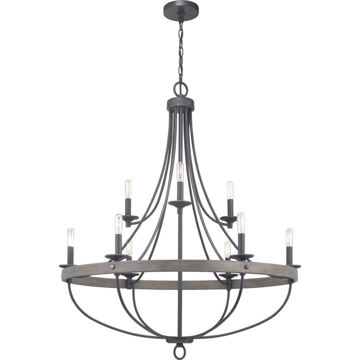Progress Gulliver P400159-143 Chandelier Light - Graphite
