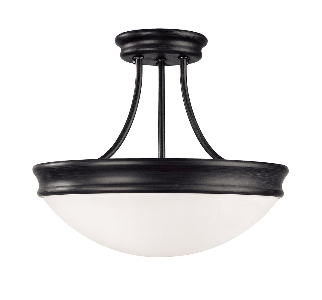 Capital Hansen 2037MB Ceiling Light - Matte Black