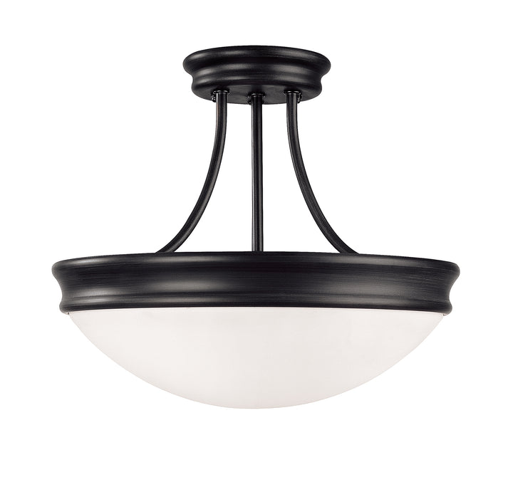 Capital Hansen 2037MB Ceiling Light - Matte Black