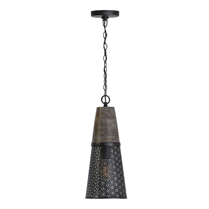 Capital Coker 333911BH-692 Pendant Light - Barn House