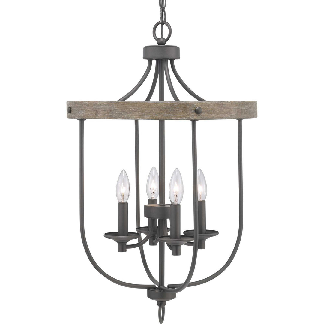 Progress Gulliver P500157-143 Pendant Light - Graphite