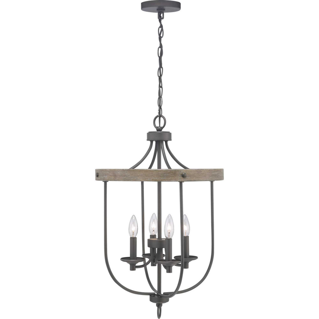 Progress Gulliver P500157-143 Pendant Light - Graphite