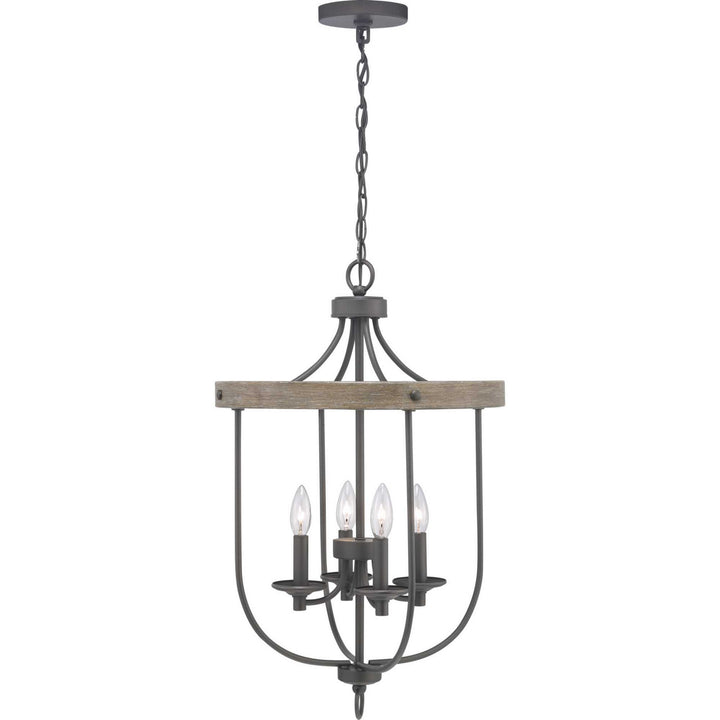 Progress Gulliver P500157-143 Pendant Light - Graphite