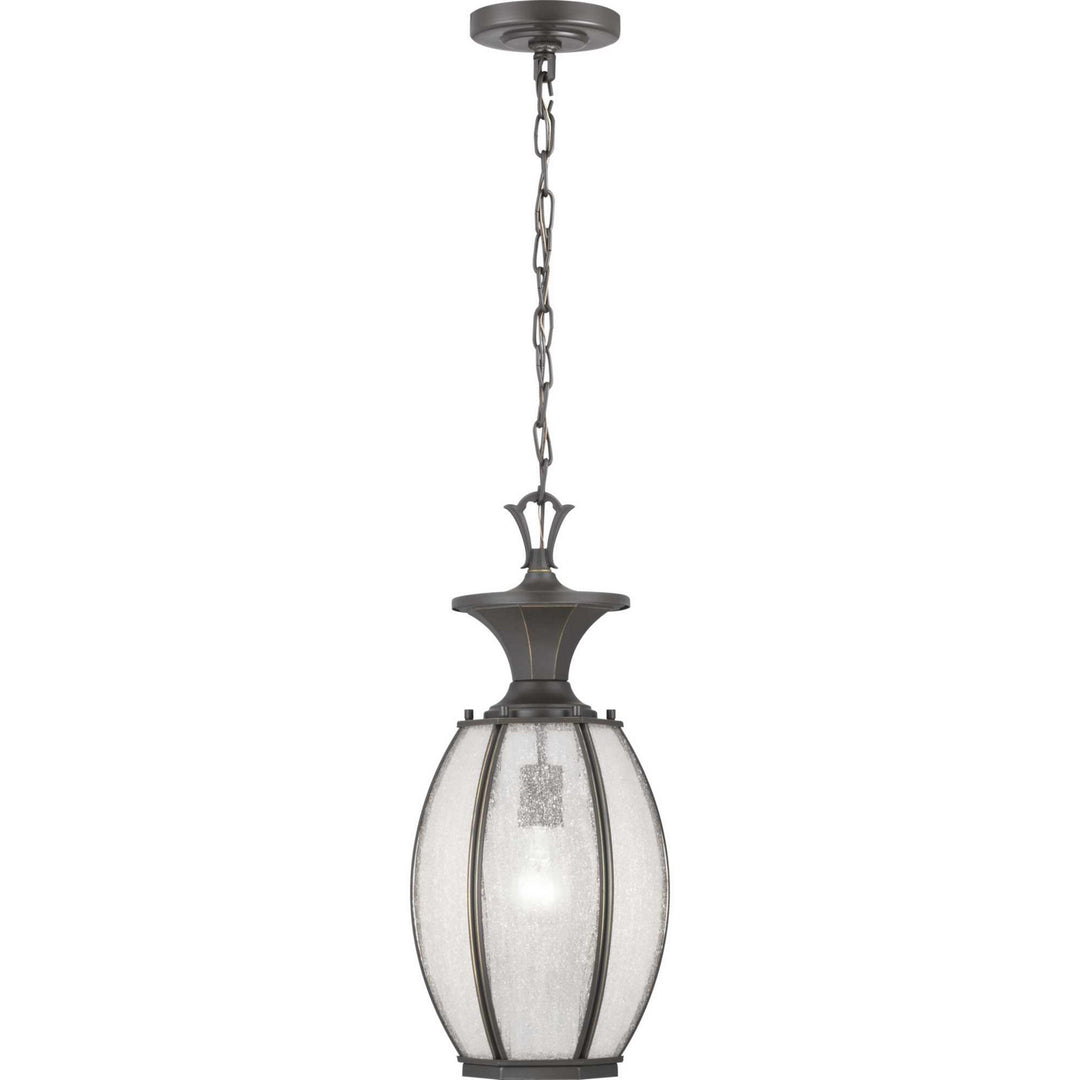 Progress Lighting P550034-020 River Place One Light Hanging Lantern Outdoor Bronze / Dark