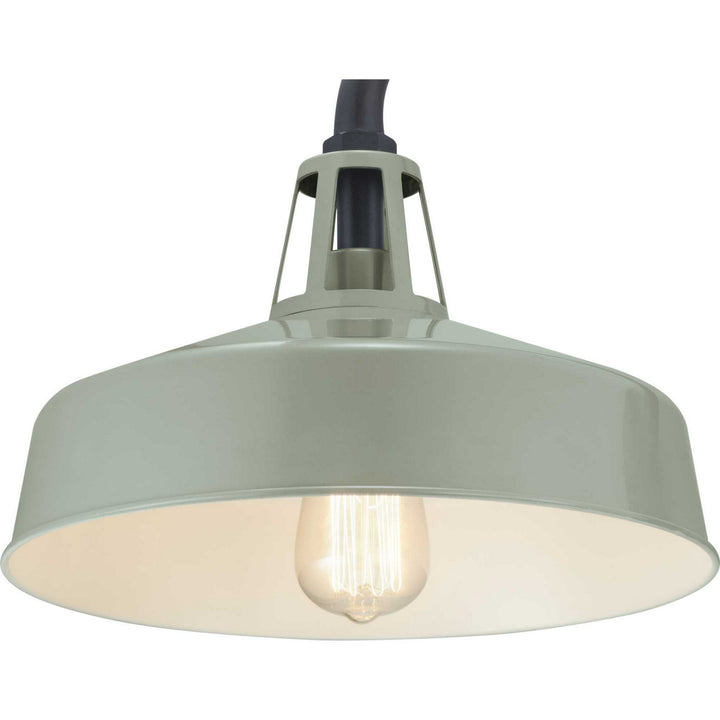 Progress Lighting P560091-079 Cedar Springs One Light Wall Lantern Outdoor Bronze / Dark