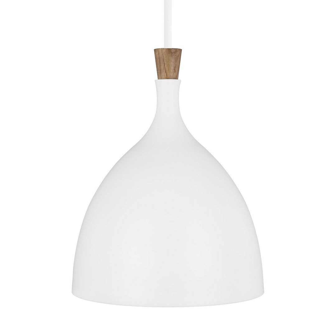 Visual Comfort Studio Darwin EP1071MWT Pendant Light - Matte White