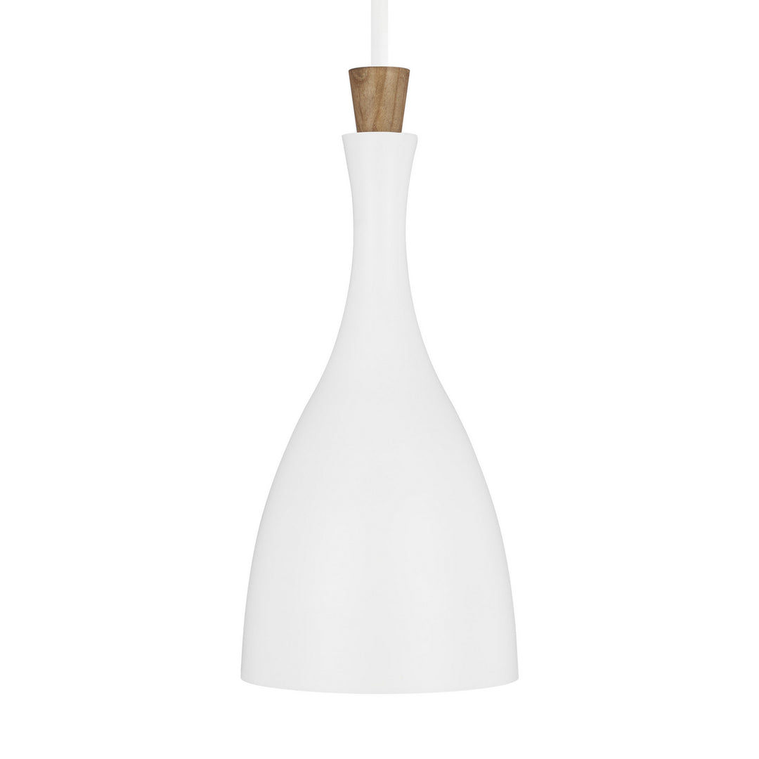 Visual Comfort Studio Darwin EP1131MWT Pendant Light - Matte White