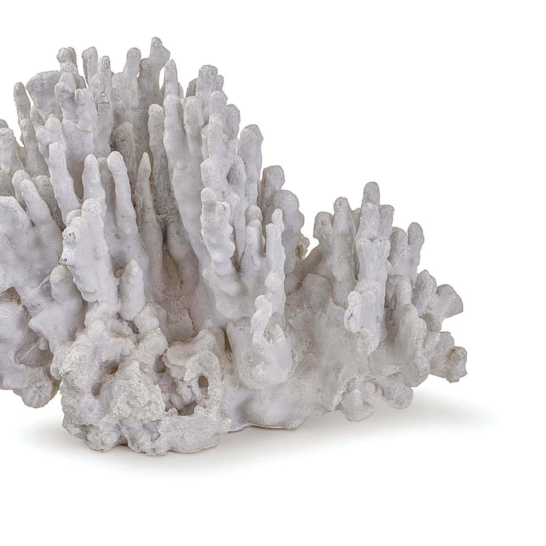 Regina Andrew 20-1005  Coral Home Decor Natural Coral