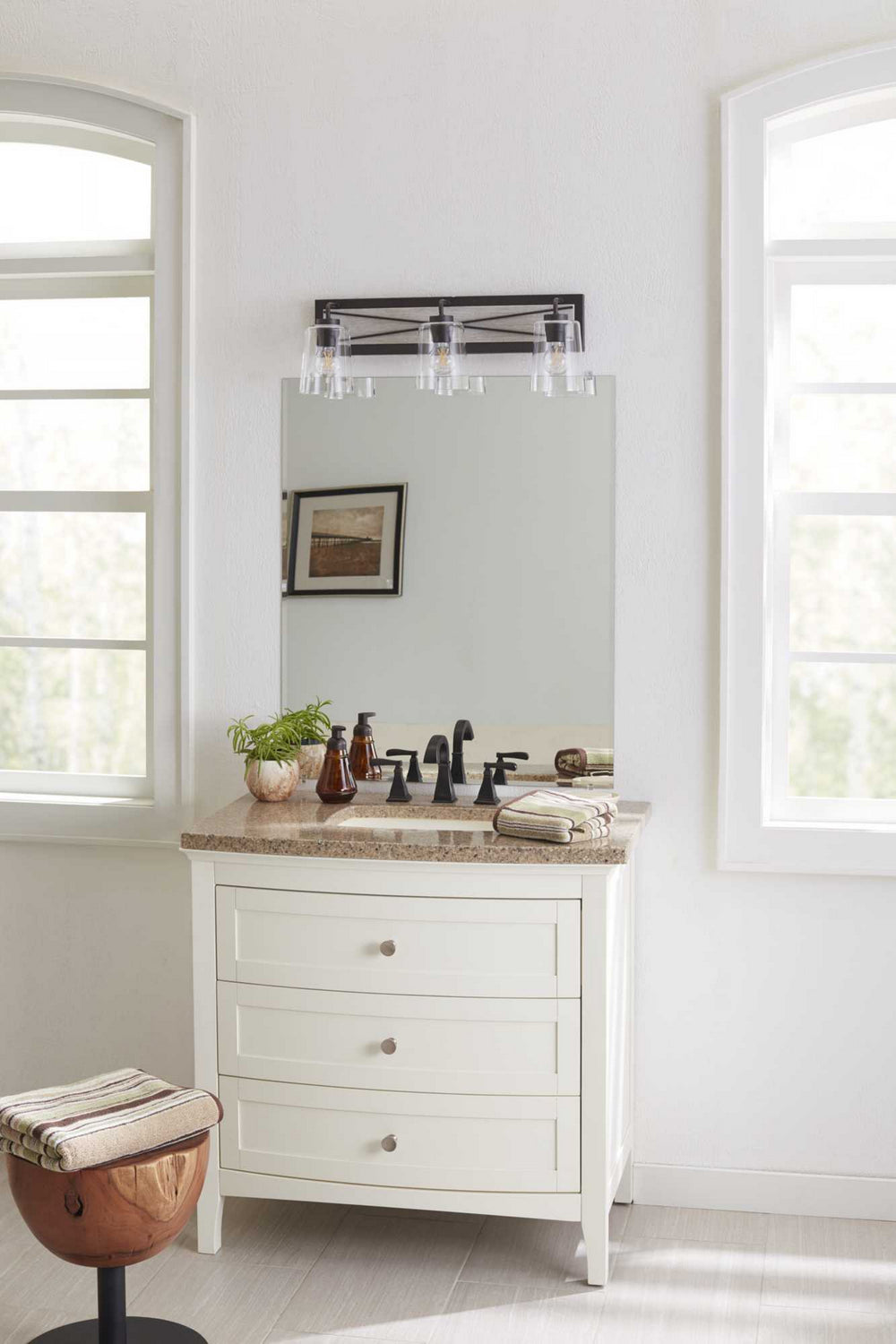 Progress Briarwood P300231-143 Bath Vanity Light 25 in. wide - Graphite