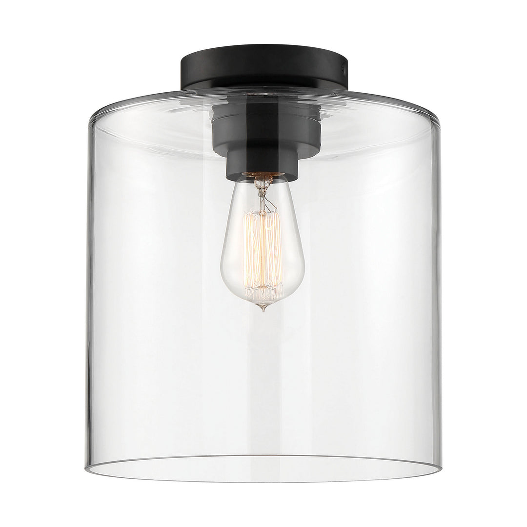 Nuvo Chantecleer 60-6779 Ceiling Light - Matte Black / Clear Glass