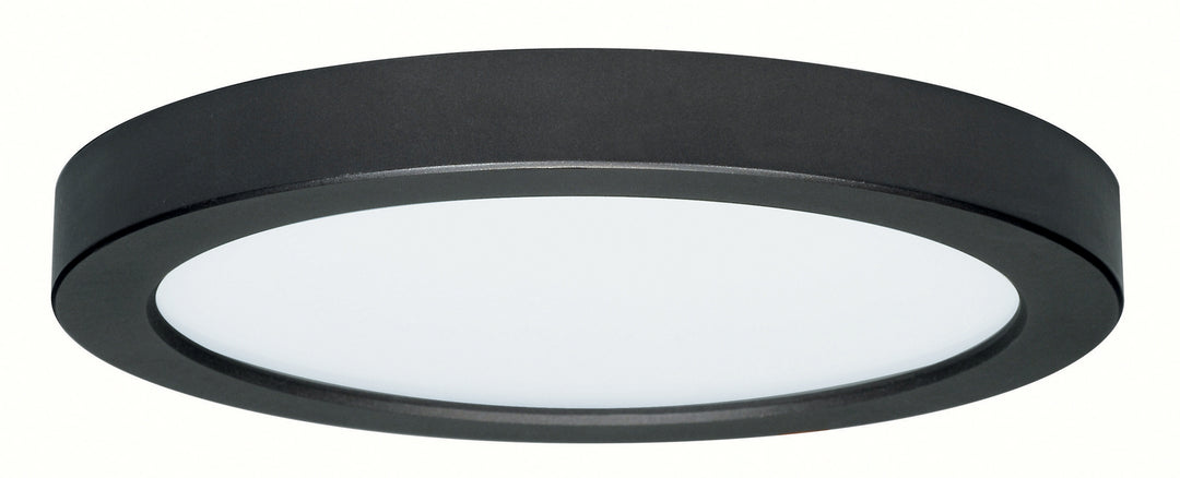 Satco S21541 Ceiling Light - Black