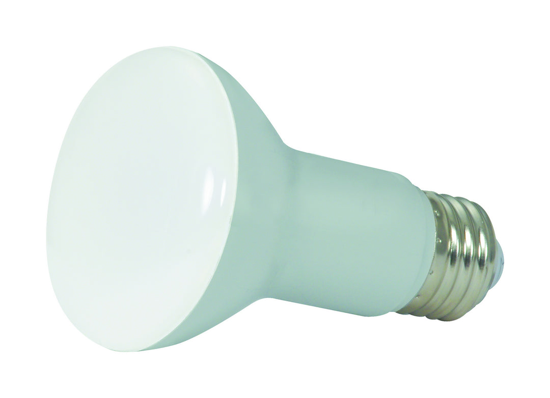 Satco Lighting S28491   Light Bulb Frost