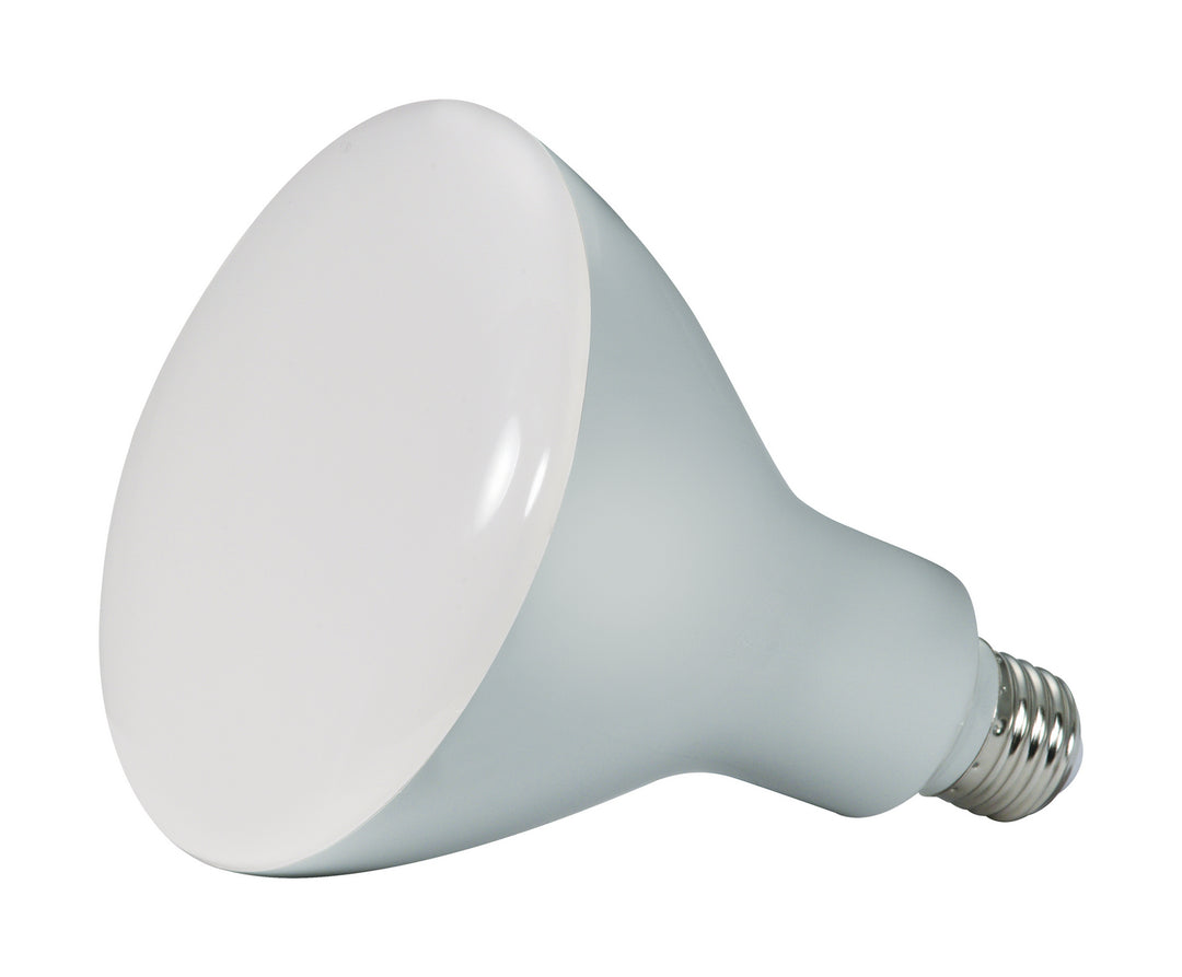 Satco Lighting S28493   Light Bulb Frost