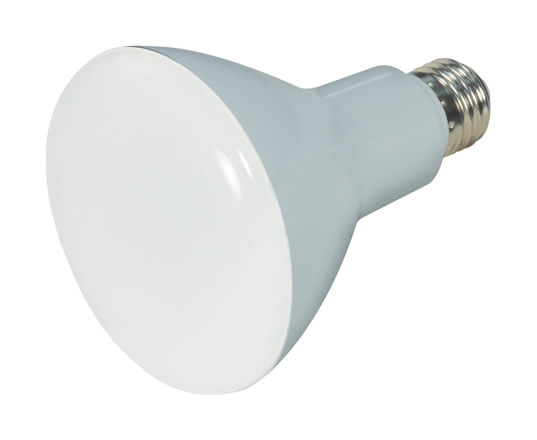 Satco Lighting S28578   Light Bulb Frost