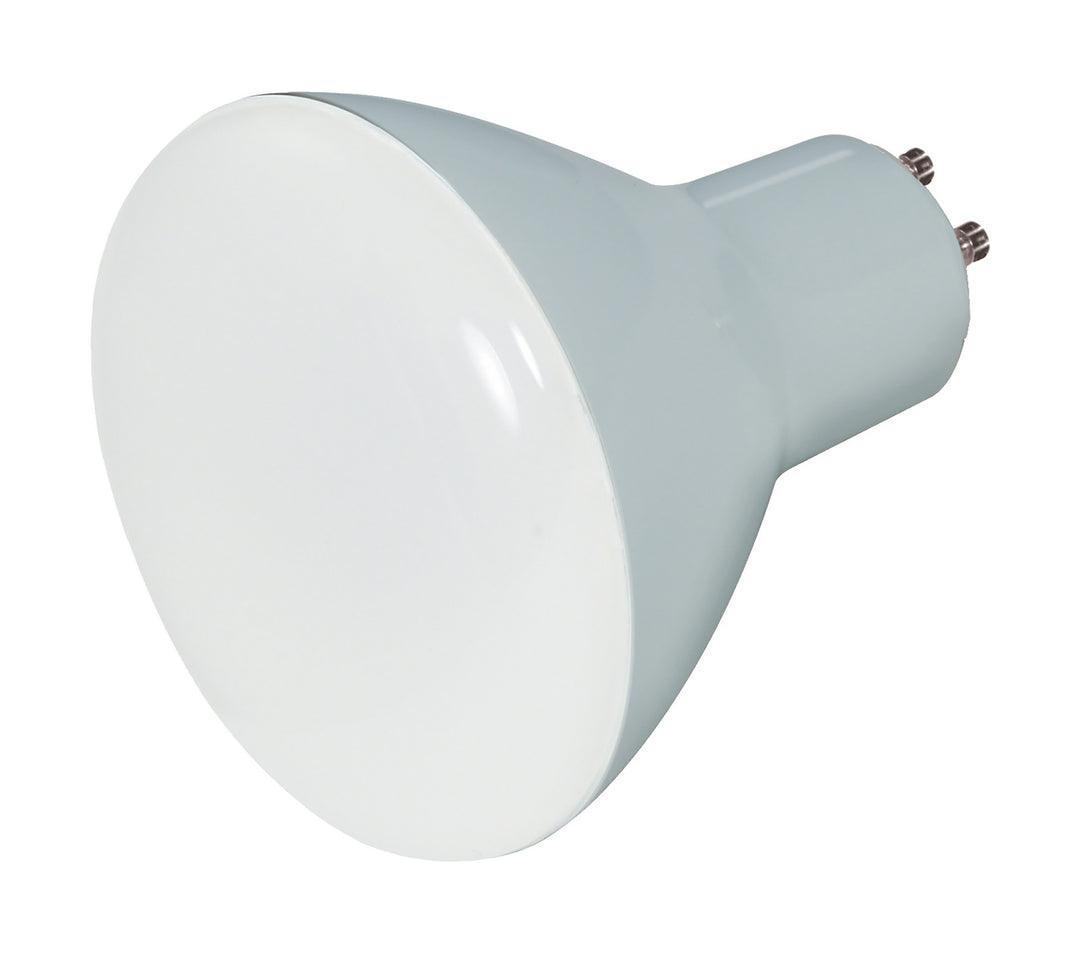 Satco Lighting S28579   Light Bulb Frost