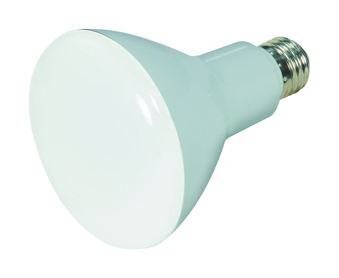 Satco Lighting S28596   Light Bulb Frost