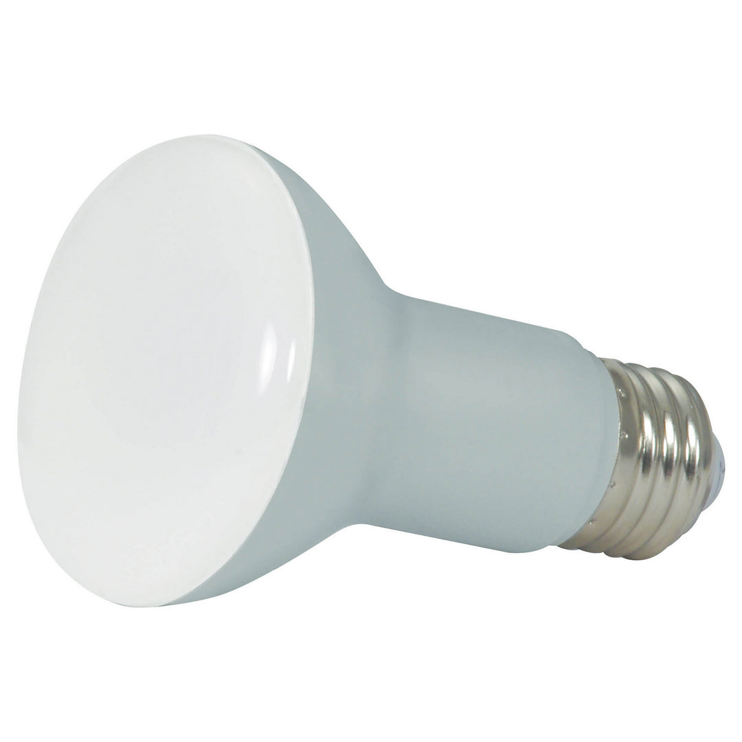 Satco Lighting S28619   Light Bulb Frost