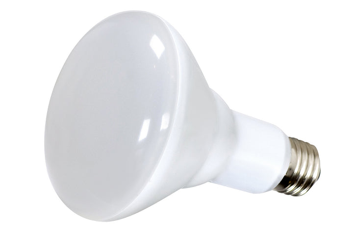 Satco Lighting S9021  Light Bulb Light Bulb White