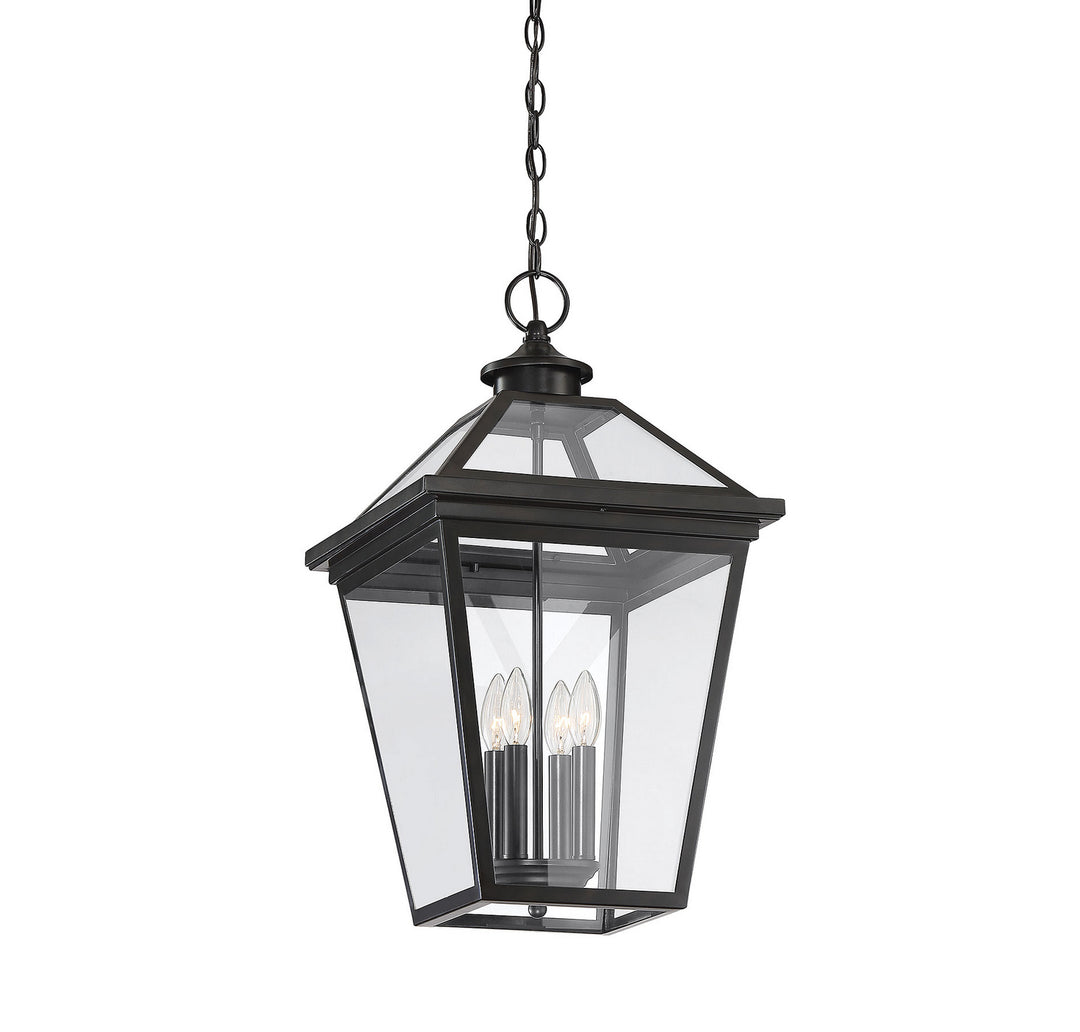 Savoy House Lighting 5-148-13  Ellijay Outdoor English Bronze