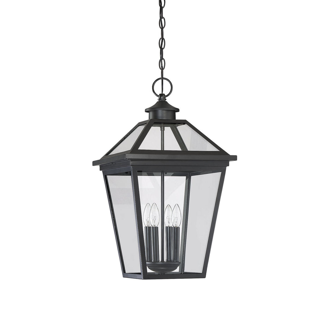 Savoy House Lighting 5-148-BK  Ellijay Outdoor Black