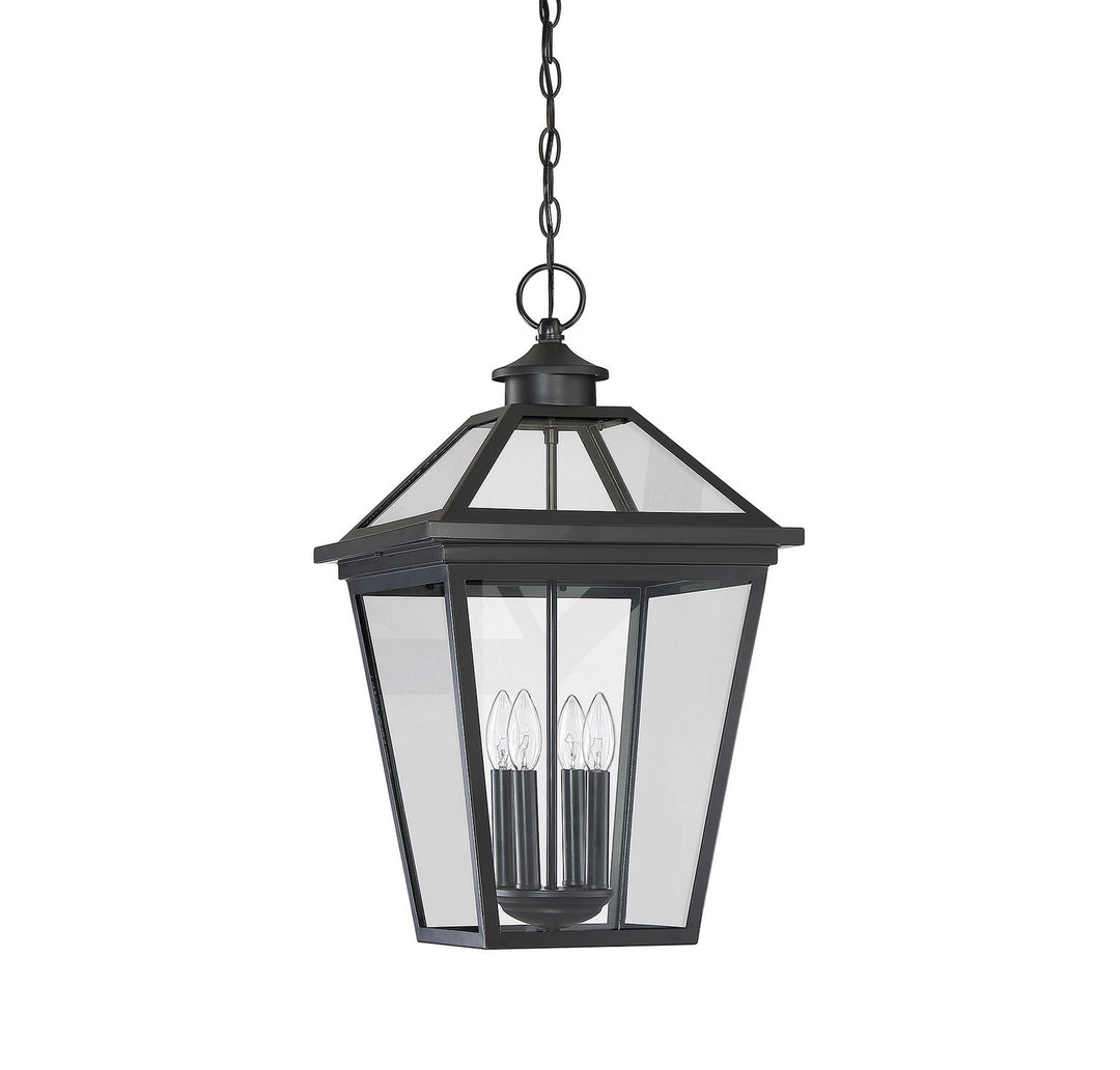 Savoy House Lighting 5-148-BK  Ellijay Outdoor Black