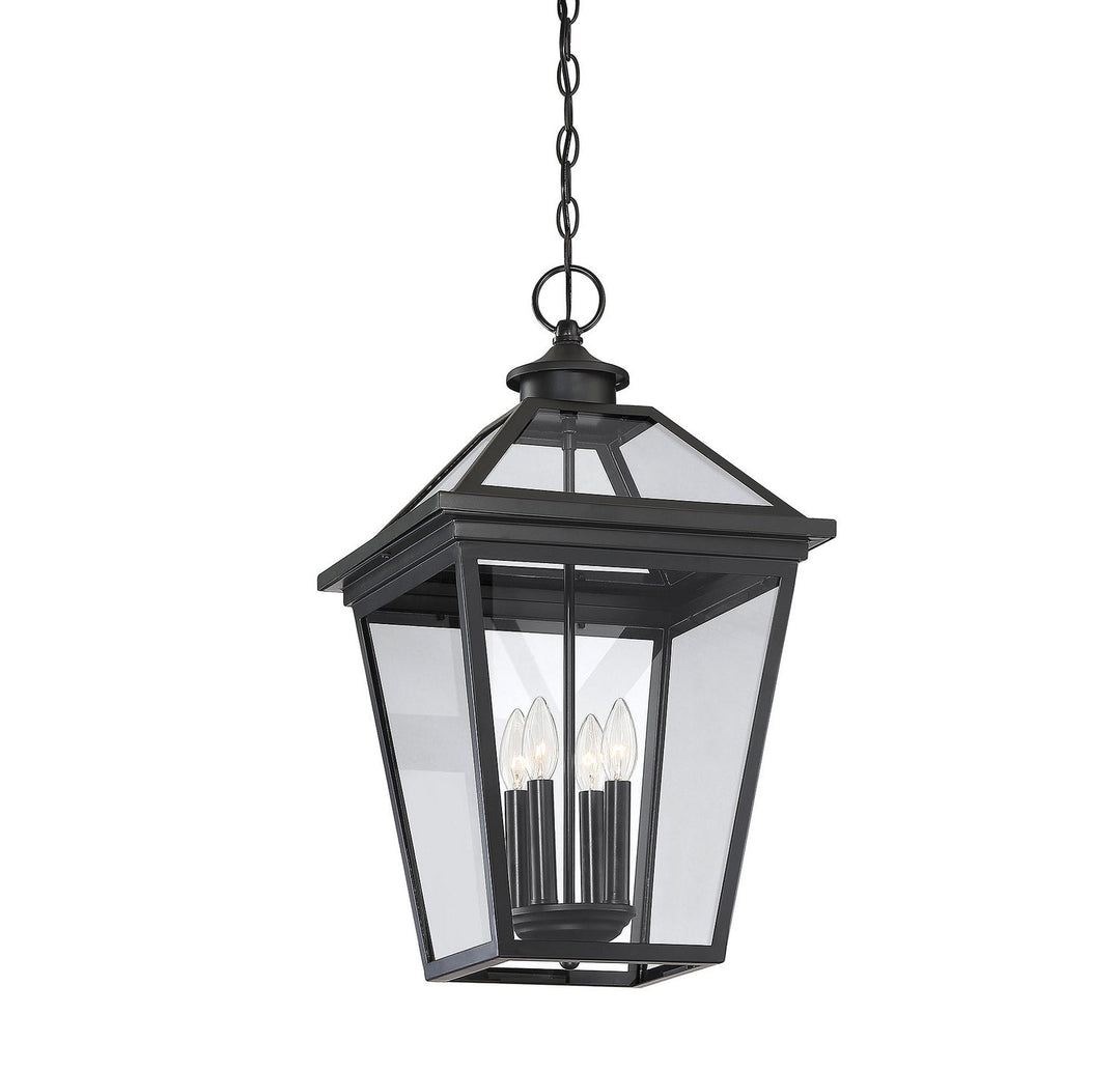 Savoy House Lighting 5-148-BK  Ellijay Outdoor Black