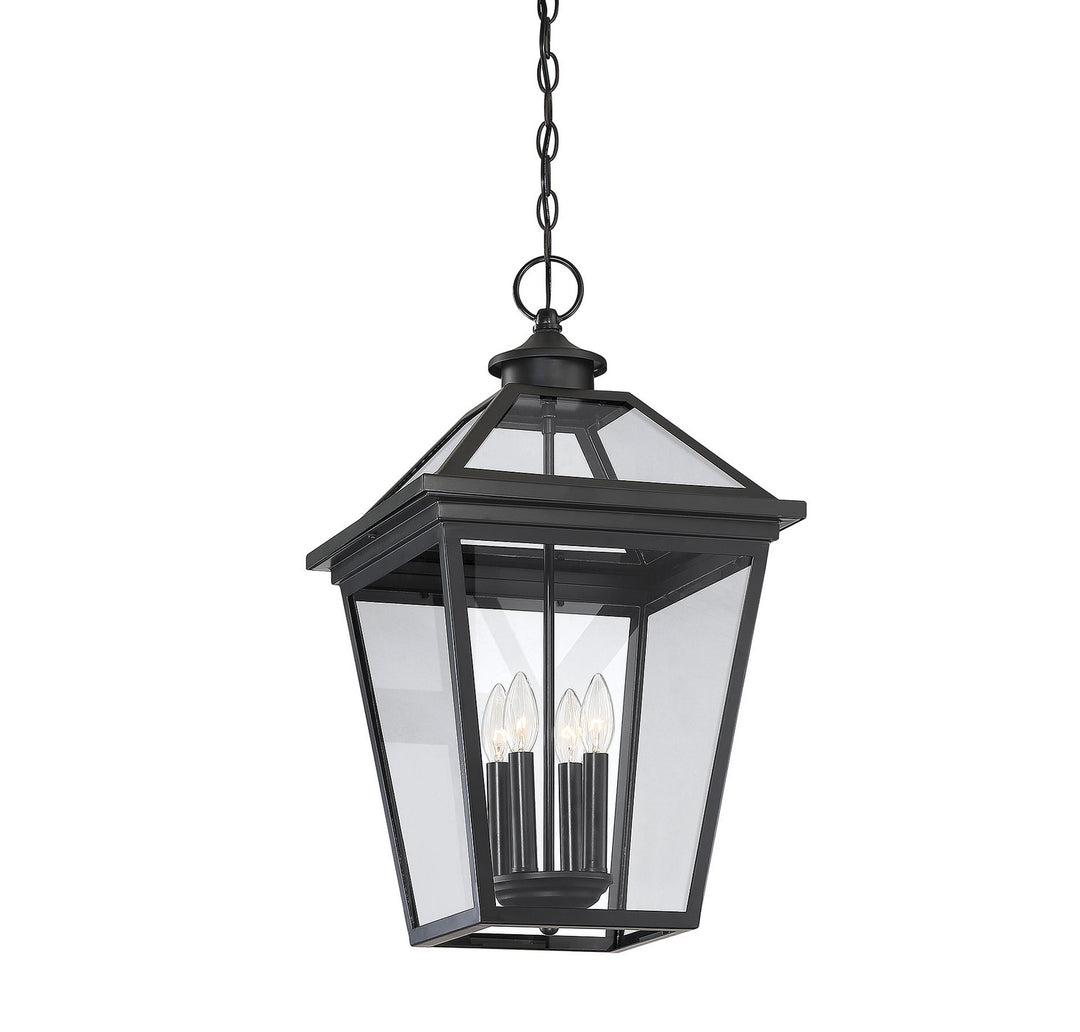 Savoy House Lighting 5-148-BK  Ellijay Outdoor Black