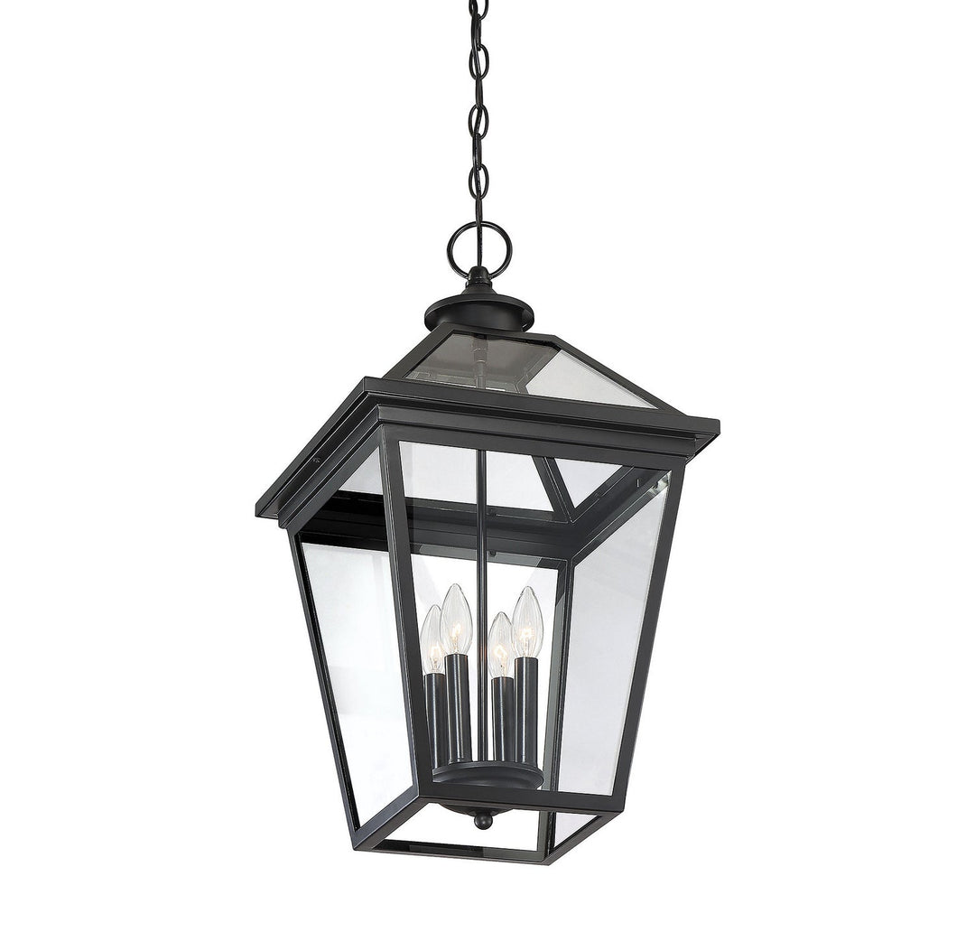 Savoy House Lighting 5-148-BK  Ellijay Outdoor Black