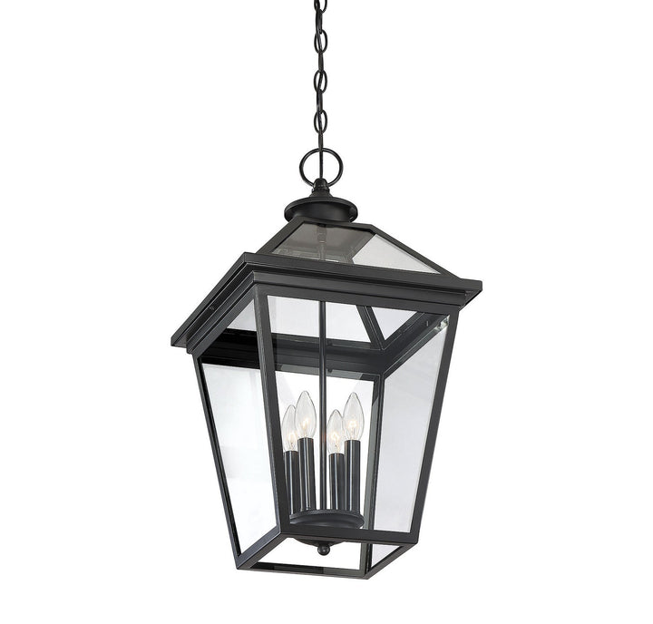Savoy House Lighting 5-148-BK  Ellijay Outdoor Black