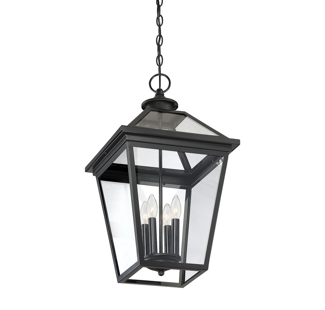 Savoy House Lighting 5-148-BK  Ellijay Outdoor Black