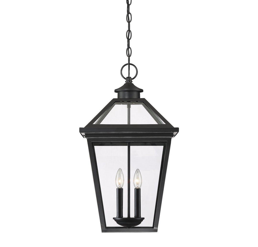 Savoy House Lighting 5-148-BK  Ellijay Outdoor Black