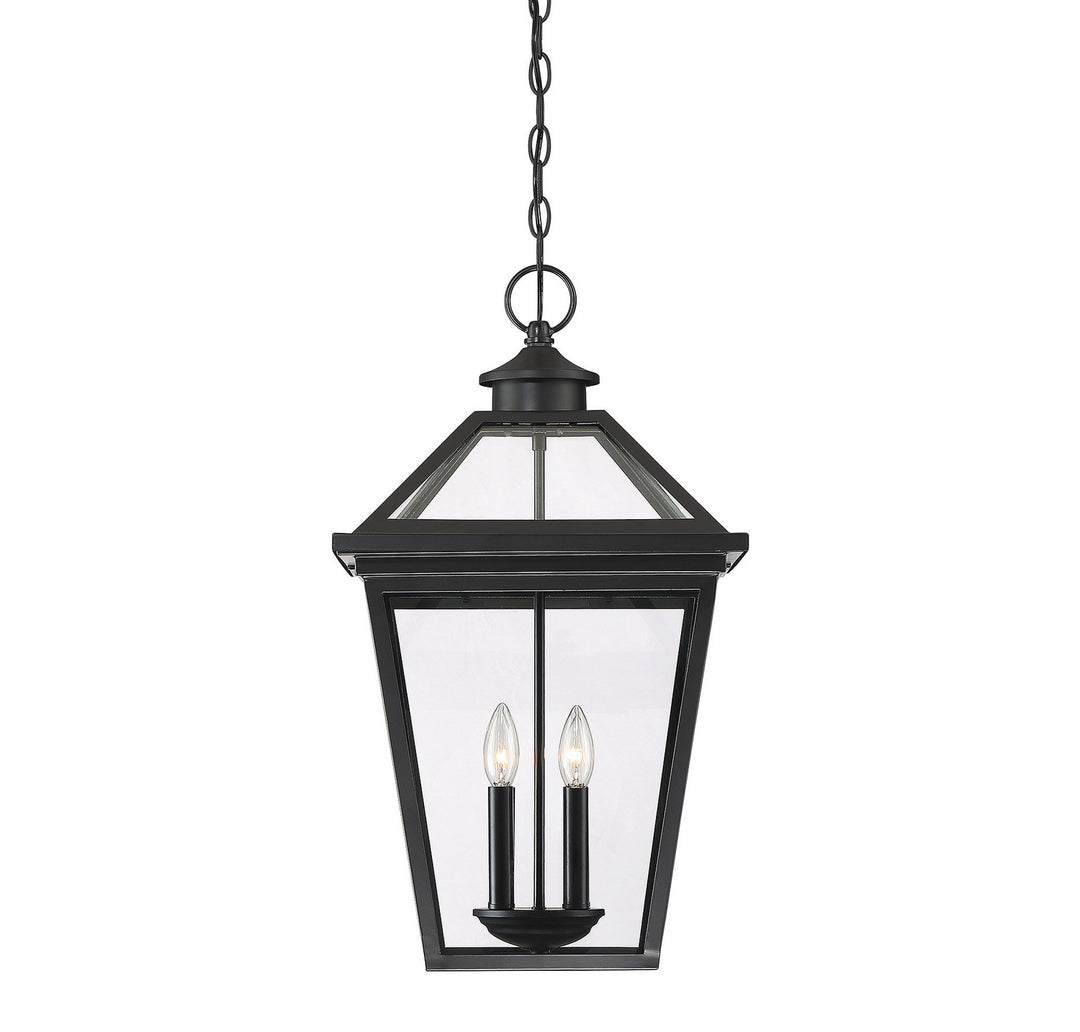 Savoy House Lighting 5-148-BK  Ellijay Outdoor Black