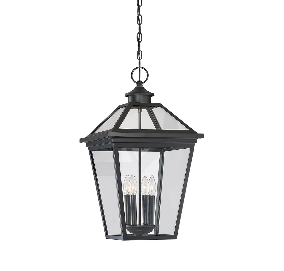 Savoy House Lighting 5-148-BK  Ellijay Outdoor Black