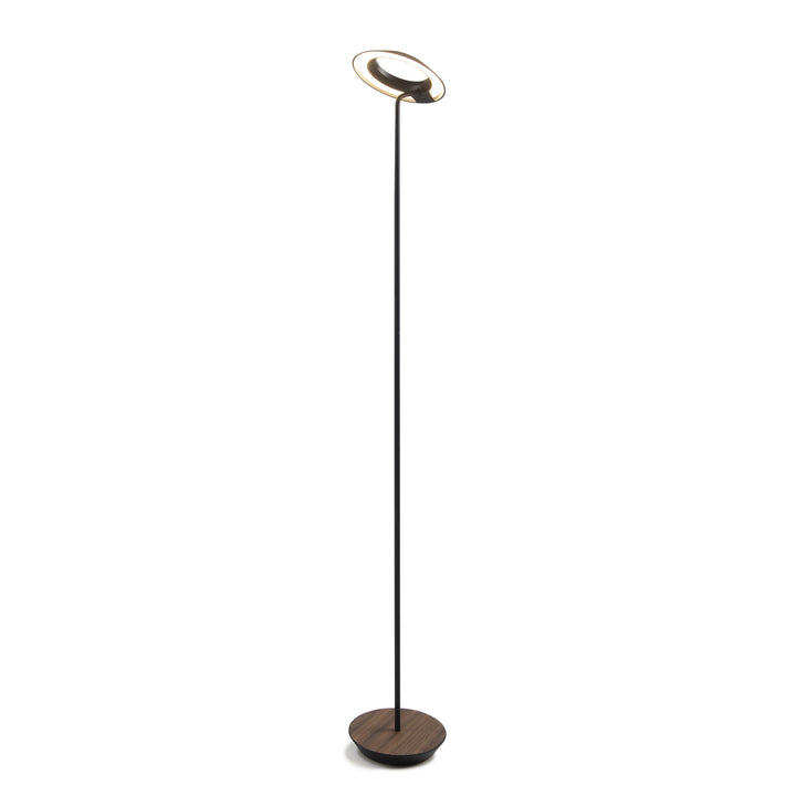 Koncept Lighting RYO-SW-MTB-OWT-FLR Modern Royyo Lamp Matte Black, Oiled Walnut Base Plate