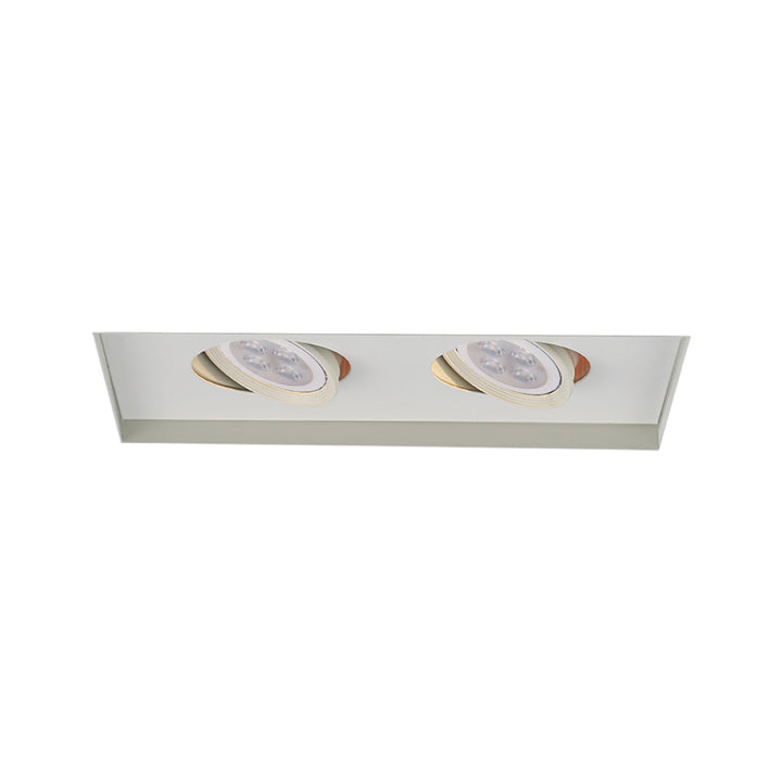 Wac Lighting MT-216LEDTL-WT  Mr16 Mult Recessed Light White